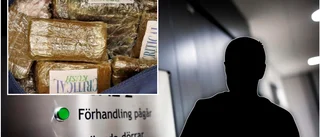 Åklagarens krav: Två år och åtta månaders fängelse