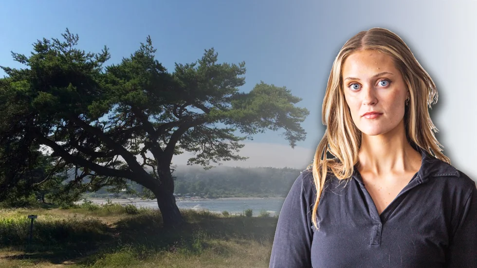 ”I jobbet som reporter är man beroende av andra – man måste dubbelkolla fakta, diskutera idéer med sina kollegor, ringa Region Gotland femton gånger per vecka, åka ut till landet och be folk att berätta om sina upplevelser och ställa upp på bild. Det blir helt enkelt ingen artikel utan människor”, skriver Ella Gruenberg.