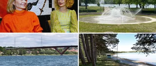 Är du en mästare i Motalakunskap?