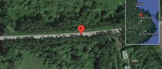 Fallna träd skapar problem i trafiken på väg 292