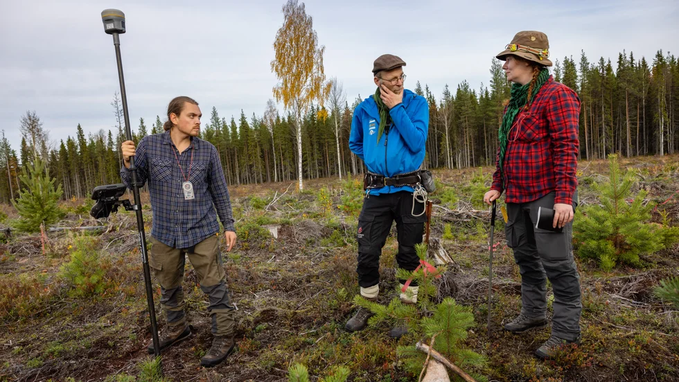 Nyligen hittades vad som kan vara en av Nordens äldsta kända gravmonument. Fyndet utanför Västra Ansvar i Överkalix kommun hade kraftiga skador från skogsbrukets markberedning. Här diskuterar arkeologerna Sebastian Lundkvist, Lars Backman och Frida Palmbo dokumentationen av det skadade grav- och boplatsområdet.
