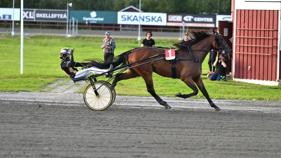 Devils Tongue var strålande bra när han vann V86-1 på nytt banrekord i Skellefteå 10,7. Kusken Sandra Eriksson var strålande glad efter loppet 