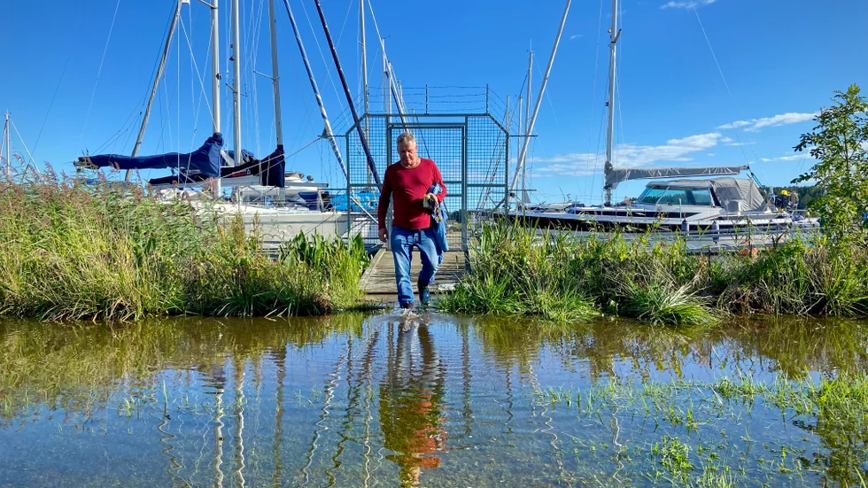 Det är översvämning i Nyköpings småbåtshamn längst in i Stadsfjärden och Hannu Majehag skojar om att skaffa en jolle för att kunna ta sig till bryggan torrskodd.