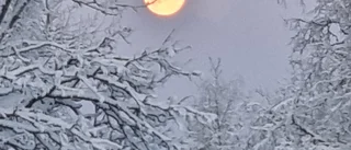 Läsarbild: Fullmåne i Kiruna   