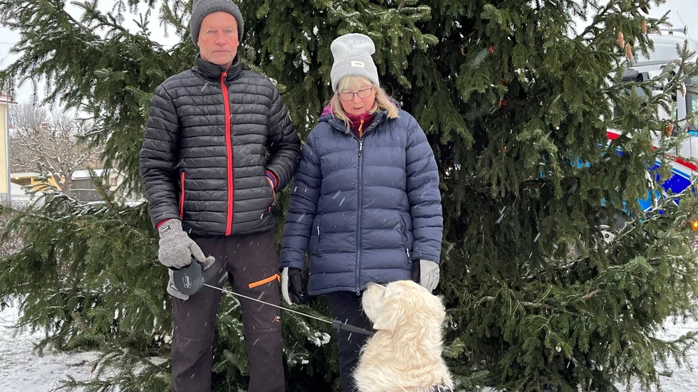 Mats och Lena Nilsson gick förbi med hunden Nisse. "Granen är jättefin! Mycket bättre än förra året", tyckte Mats. Nisse bekräftade med några instämmande skall.