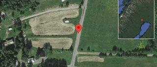 Varning för hundar på vägen på väg 685