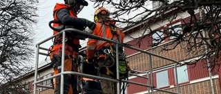Takföretag förbjuds att utföra arbete på höjd
