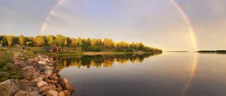 Läsarbilden: Magisk kväll       