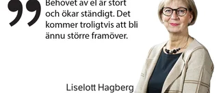 Debattkrönika: "Sörmland kommer behöva mycket energi"