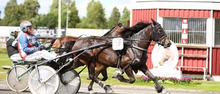 En vinnare tog hela V5-potten i Skellefteå – AW´s Fastlight fixade hemmaseger – Roger Nilsson spräckte segernollan med två skrällar