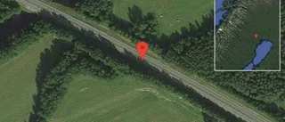 Häst på vägen på väg 97