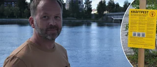 Kampen mot kräftpesten fortsätter – både bra och dåliga upptäckter • ”Kan ha en viktig betydelse för återväxten”