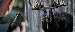 Lööf offrar vapenägarna på Socialdemokraternas altare