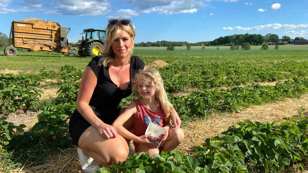 Elin Svedling och dottern Wilma, 6, plockar jordgubbar varje år. "Ja, det här är en tradition". 
