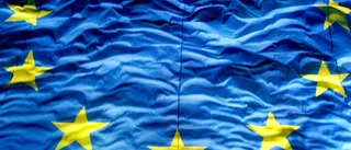 EU, vadå?