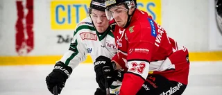 Gripen serievinnare – storseger i sista matchen