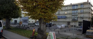 Länsstyrelsen måste utreda mer om allén