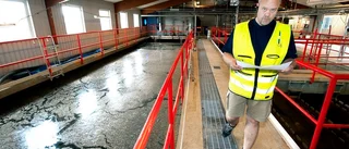 Ovanligt många klagomål på dricksvattnet i Trosa: "I år har det varit det dubbla..."