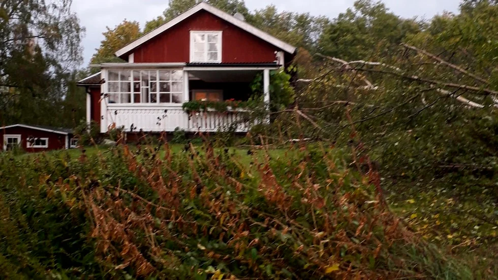 Huset klarade sig. Men barnbarnens lekställning slogs sönder hemma hos Vingåkersbon Marianne Johansson. – Det är otäckt, jag är fortfarande i lite chock.