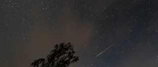 Stjärnfallet Perseiderna dansade över himlen
