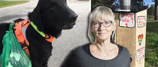 Fredrixon: Aha! Tydligen ploggar vi, vovven och jag!