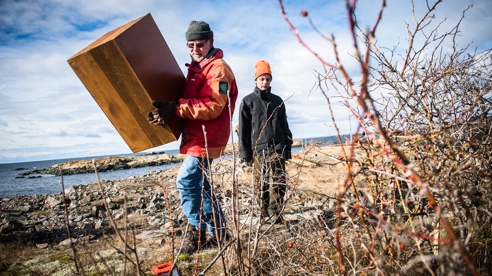 Fågelföreningen fick miljöstipendiet för sitt projekt med ejderhus ute på Hävringe. Nu är det dags att söka igen.