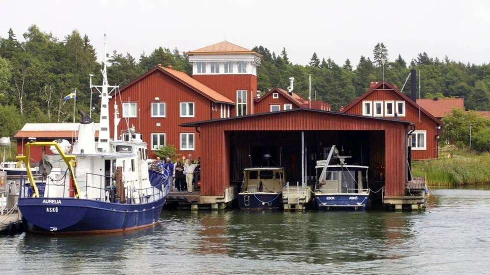 Askölabb2.jpg