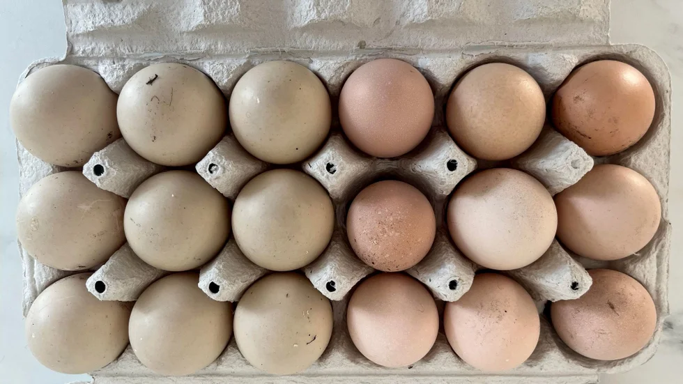 En kartong med ägg kostar inte som förut.