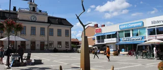 Dåligt tryck i fiskarna – Varför sprutar inte fontänen ibland? • Pollen kan vara boven 