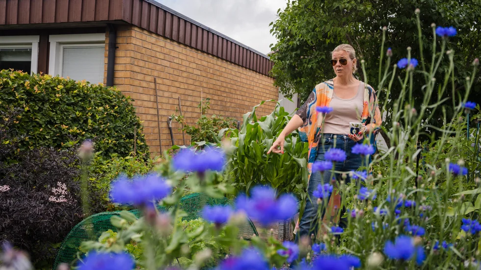 "På jobbet vill jag gärna göra klart projekt, men i min egen trädgård blir jag aldrig klar. Jag tänker att det kanske är bra för hjärnan på något vis", säger Annika Carlborg. 