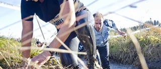 Blött lopp blir alltmer populärt