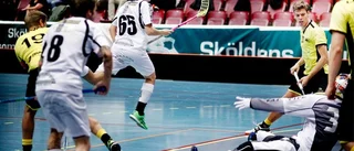 "Vi hade kunnat ta hem det här"