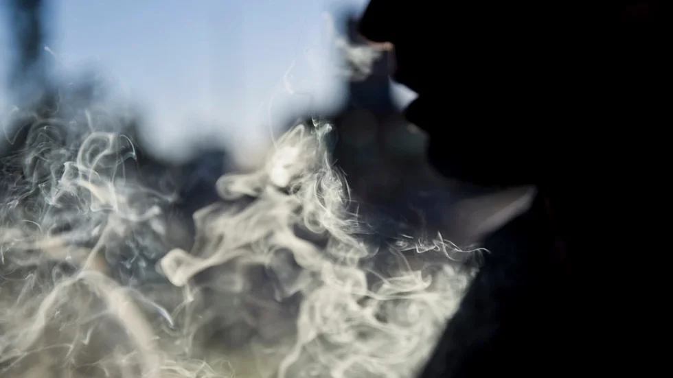 Cannabis