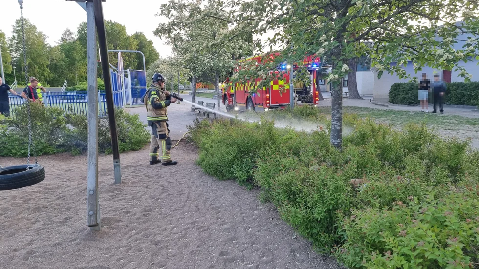 Räddningstjänsten släckte buskar som brann vid Klockaretorpsskolan.