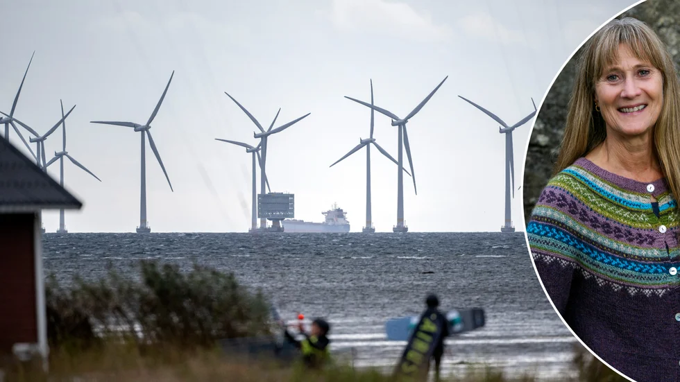 Svea vinds projektledare Barbro Grebacken upplever att planerna på vindkraftsparken Bores krona har medvind. Bilden på en havsbaserad vindkraftspark är hämtad från Lillgrund i Öresund, söder om Öresundsbron.    