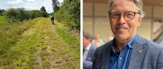M och SD: Handeln drabbas av färre p-platser