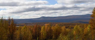 SD och M – brutna vallöften och dåliga undanflykter