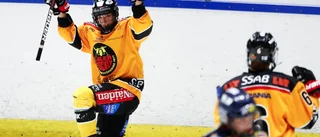 LIVE 19.00: Luleå Hockeys match i Vilhelmina