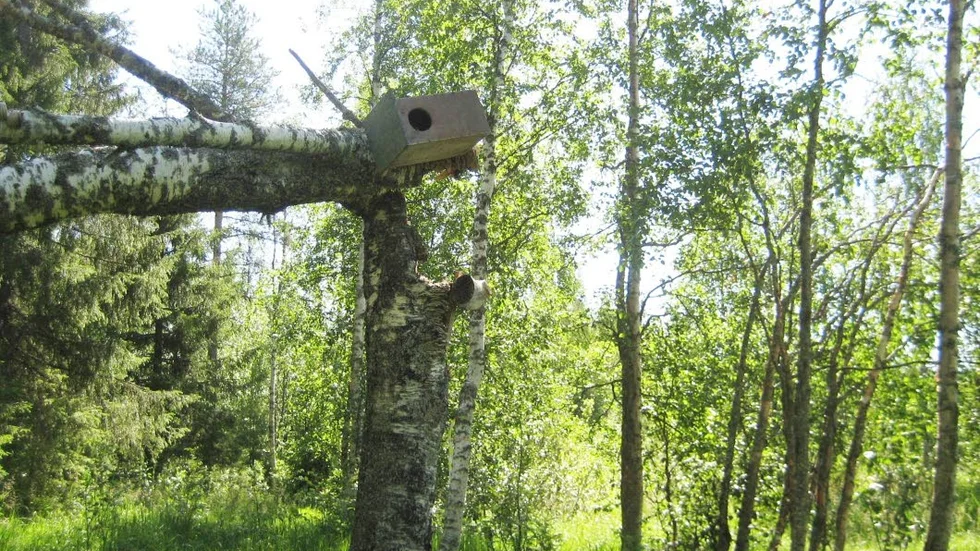 ”Här har det varit livat i holken” skriver Hans Johansson, Övertorneå som sänt in bilden. Ja, oj oj oj vilket party det måste ha varit!