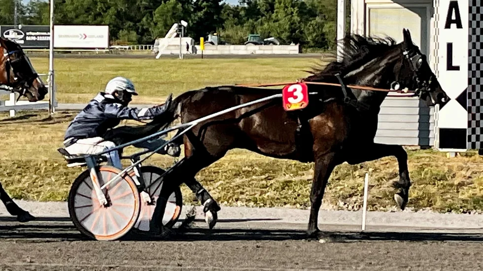 Maverick Dream imponerade vid segern på nytt banrekord senast och startar som favorit i det avslutande V5-loppet.