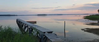 Läsarbilden: Sommarnatt       