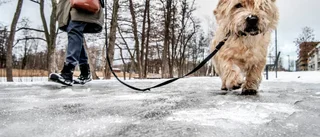 Väder: Här blir det ymnigt snöande