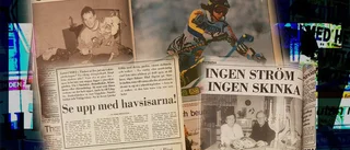 Lucka 24: Fogdö, en slagbjörn och julen i Julträsk