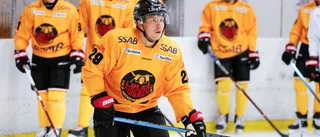 Då går Luleå Hockeys stjärnor på is