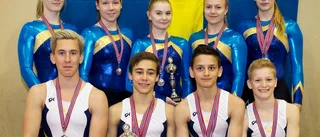 Medaljregn över länsgymnasterna