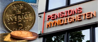 Lång väntetid för bostadstillägg: "Det är nog många som ger upp"