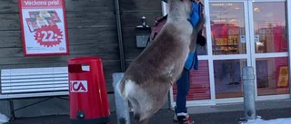 Junkka: Får vi skoja om ShoppaREN?