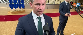 Jonson: Vi har inga Jas Gripen att avvara