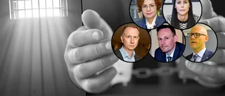 Skärpt lagförslag kritiseras: "Det här är vansinne"