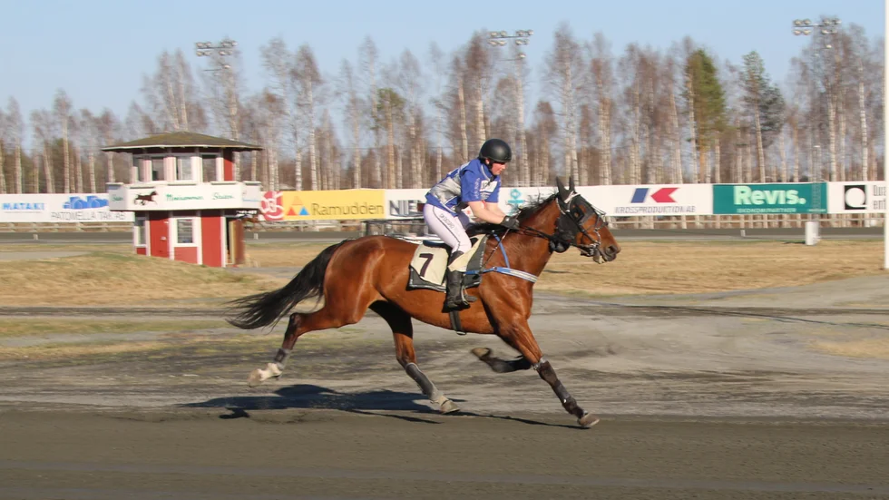 Fox Star (Jenny Engfors) vann montéloppet, V5-2, överlägset trots ett galoppinslag i början.